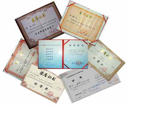 2005年获第九届“挑战杯”“多米诺”挑战赛“团队冠军”